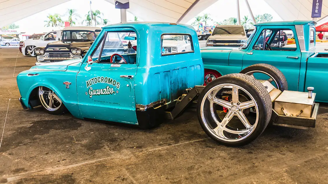 C10 nation Blue bunny